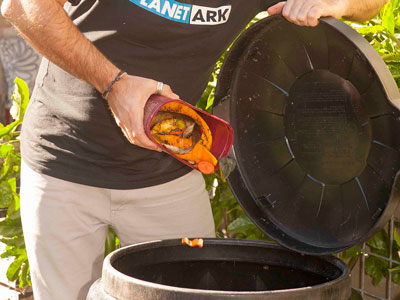 Follow council instructions for food/garden organics collections, or put in your own compost bin or worm farm.